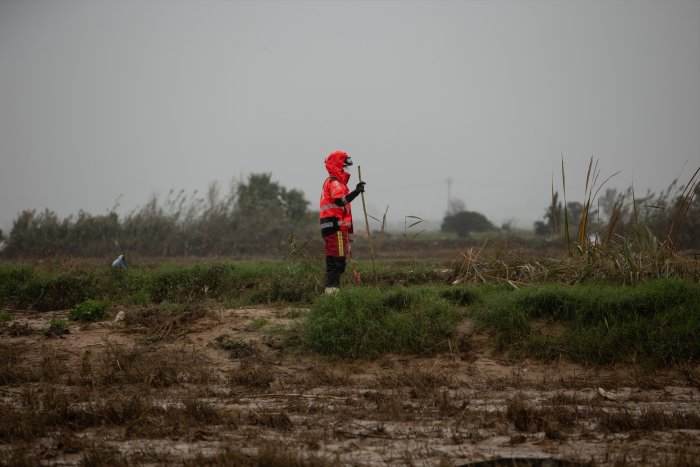 El campo de L'Albufera afronta un futuro incierto tras la DANA: 'Todos los cultivos de huerta se han perdido completamente'