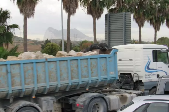 Miles de toneladas de piedra de una cantera en Málaga rellenan el mar en Gibraltar incumpliendo la ley ambiental española