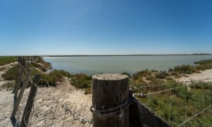 Imagen de archivo de los terrenos de la finca 'Veta la Palma', a 24 de abril de 2024, en La Puebla del Río, Sevilla.