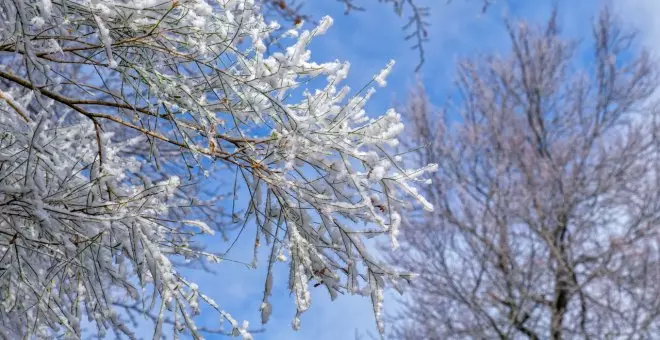 La borrasca Fien ya deja imágenes asombrosas de un invierno que llega tarde