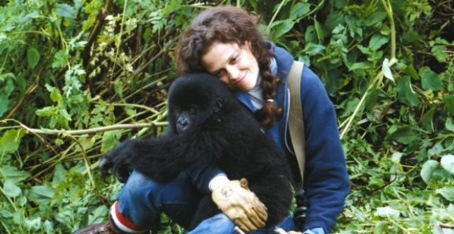 Gorilas en la niebla, la película del británico Michael Apted y a la actriz Sigourney Weaver, que encarnó el personaje principal.