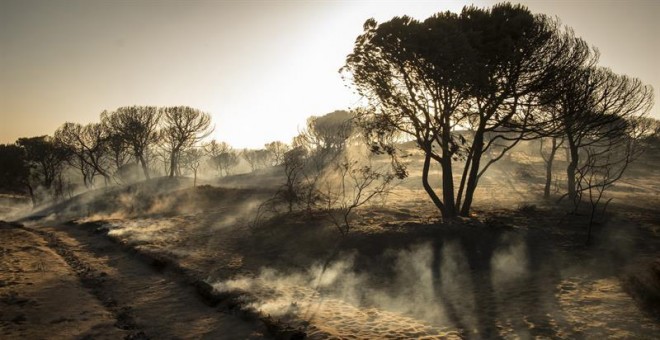 Paraje de Cuesta Maneli tras el incendio declarado el pasado sábado en el paraje 'La Peñuela' de Moguer (Huelva) y que afecta al entorno del Espacio Natural de Doñana. /EFE