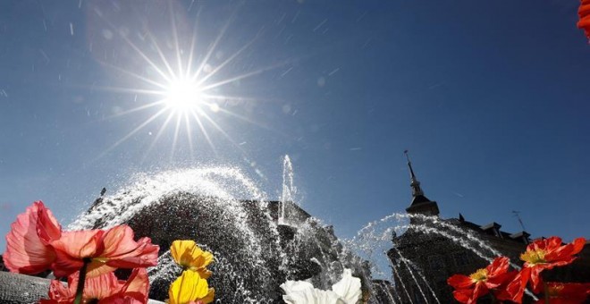 El sol ilumina varias flores en una fuente de Pamplona. EFE/Jesús Diges