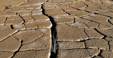 La sequía está siendo uno de los efectos inmediatos del cambio climático. /EFE