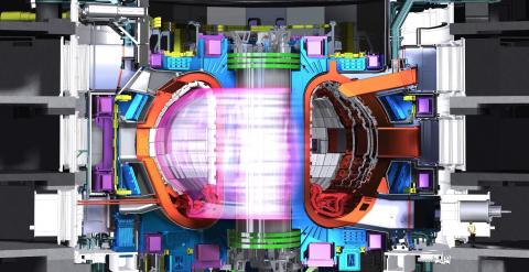 Esquema del reactor de fusión con el plasma en su interior. /ITER ORGANIZATION