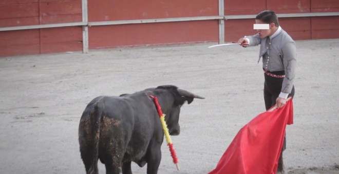 Imágenes de las clases prácticas en la escuela taurina de Pedrezuela, en Madrid. PACMA