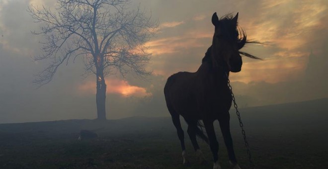 Uno de los incendios forestales originado en los montes próximos a la localidad cántabra de Viernoles.- EFE