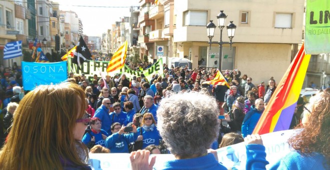 Bajo el lema “El Ebro sin caudales es la muerte del Delta”, miles de personas conformaban una gran marea azul que ha recorrido todas las calles de la ciudad.