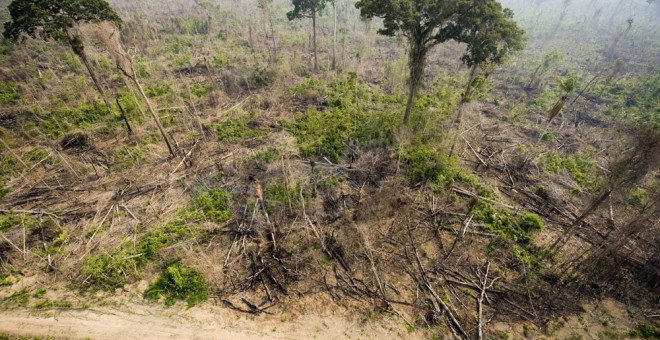 Vista aérea de una tala ilegal en el Bosque Nacional de Jamanxim , en el estado de Para, en la Amazonía brasileña. ANTONIO SCORZA (AFP)