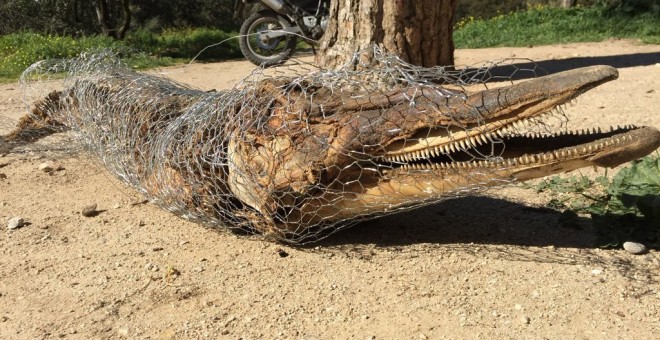 Fotografía facilitada por la Policía Municipal de Madrid del cadáver de un delfín que ha sido hallado en la Casa de Campo de la capital, cubierto por una valla metálica y en avanzado estado de descomposición. EFE