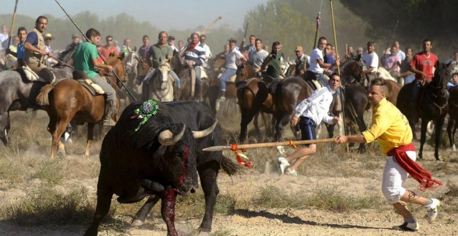 Espectaculo de El Toro de la Vega en Tordesillas. EFE