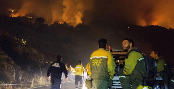 El dispositivo formado para la extinción del incendio forestal declarado en La Palma. /EFE