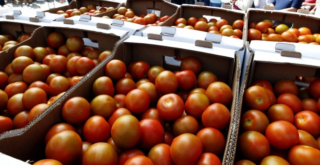 Fotografía de archivo de un puesto de tomates. EFE