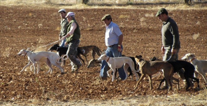 Galgueros en una jornada de caza. EFE/ Archivo