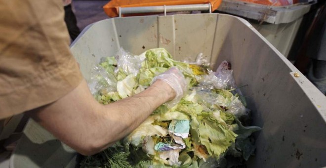 Montones de lechuga en el interior de un contenedor de basura.EFE/Kiko Huesca