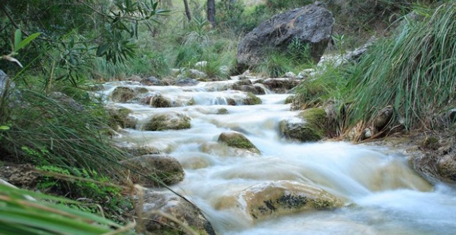 La Poza de los Patos (Nerja, Málaga)