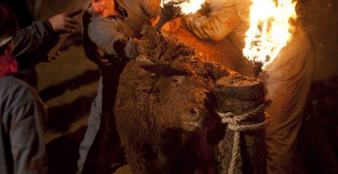 Un toro es embolado en la provincia de Castellón.- EFE