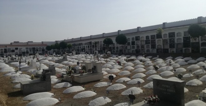 Tumbas de las víctimas del franquismo en el cementerio de Badajoz. / B.A