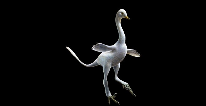 Un equipo de científicos de Italia ha identificado una nueva especie de dinosaurio terópodo anfibio con aletas anteriores y una postura parecida a la del pato. EFE/ Lukas Panzarin