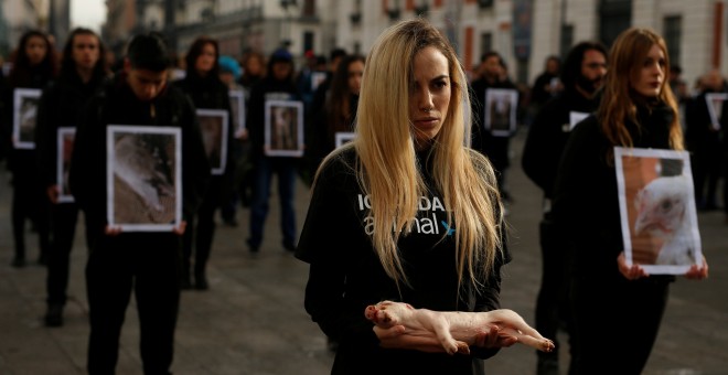 gualdad Animal denuncia el 'terrible' maltrato de millones de animales en las granjas. REUTERS / Javier Barbancho