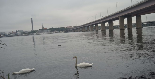 Puente junto al que supuestamente se halló el cadáver del joven vasco.