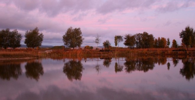 La laguna de El Cañizar ha llegado a albergar ejemplares de 200 especies de aves, la mayoría acuáticas, en unas tierras que cultivan varios centenares de vecinos de la zona. SEO-BIRDLIFE Aragón