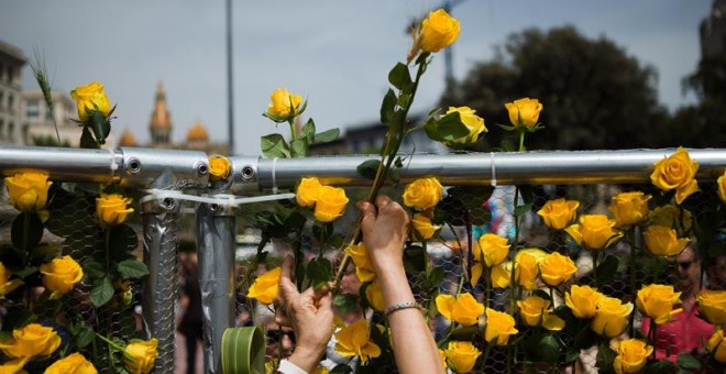 Mural de roses grogues a la Plaça de Catalunya aquest Sant Jordi. EFE / Enric Fontcuberta.