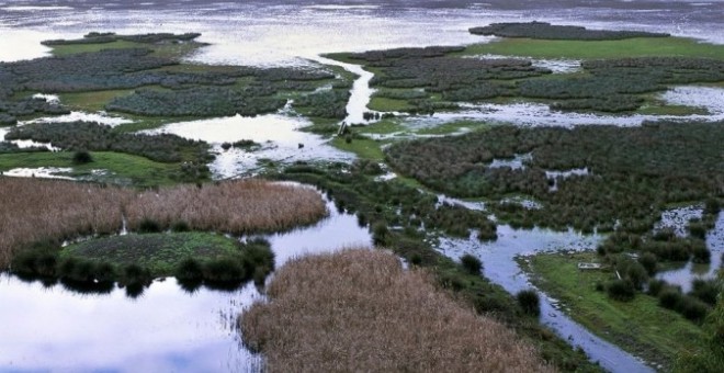 Humedales en el Parque de Doñana. EFE