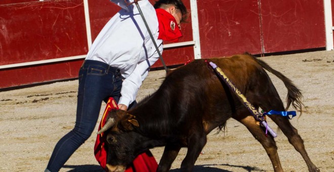 Imagen de la becerrada en San Rafael. PACMA