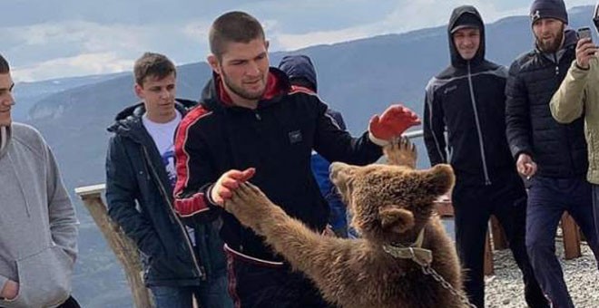 Khabib Nurmagomedov peleando con el osezno. (Instagram)