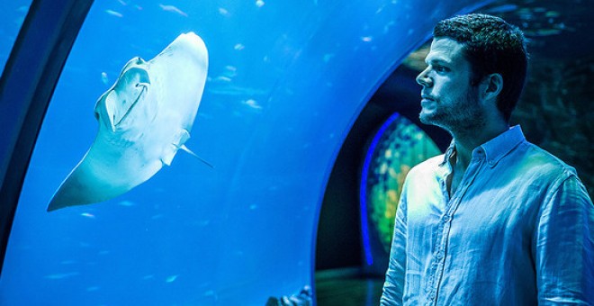 Nacho Dean en el Atlantis Aquarium de Madrid. / Álvaro Muñoz Guzmán (SINC)