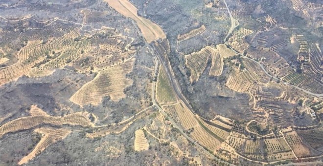 L'incendi de la Ribera d'Ebre, finalment controlat. EUROPA PRESS