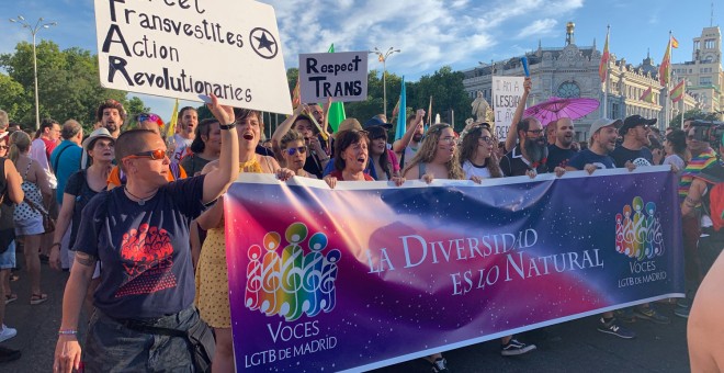 Pancarta de la asociación Voces LGTB de Madrid en el Orgullo 2019. /ESTEFANÍA ROSELLÓ