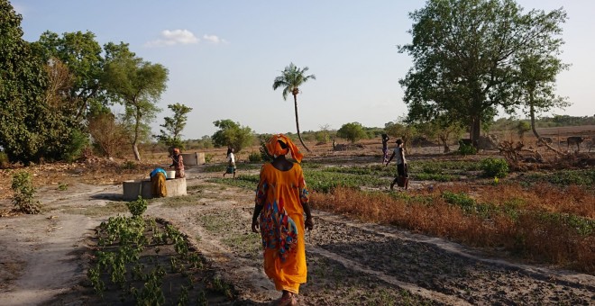 Visita a una cooperativa de dones agricultures a Kolda (Casamance, Senegal)