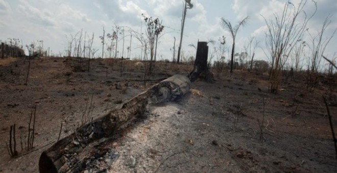 Una de las áreas destruidas por fuego en la selva amazónica | EFE