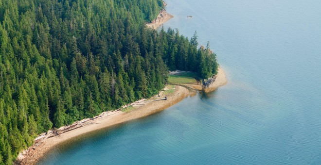 Bosque Nacional Tongass. FLICKR/Alan Wu