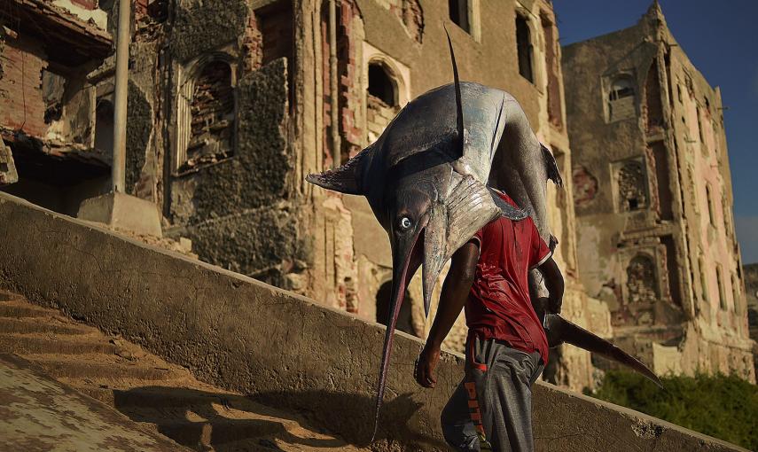 Un hombre lleva un pez vela en la cabeza por el barrio Hamarweyne, al sur de Mogadiscio. CARL DE SOUZA (AFP)