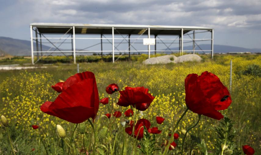 Amapolas frente a un construcción metálica abandonada cerca de la ciudad de Larisa, en la región de Tesalia, Grecia.- REUTERS / Yannis Behrakis