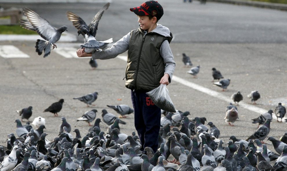 Un niño da de comer a las palomas al lado del río Yenisei cerca de Krasnoyarsk, Rusia. REUTERS/Ilya Naymushin