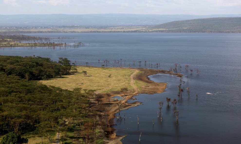 Lago Nakuru, que se encuentra a unos 170 km al noroeste de la capital, Nairobi, es un ecosistema frágil, vulnerable, entre otras cosas, a los efectos de la rápida urbanización en la cercana ciudad de Nakuru.- REUTERS