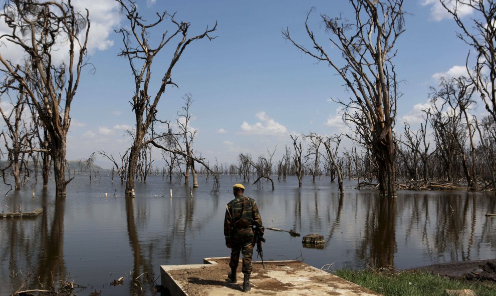 En el caso de Lago Nakuru, las inundaciones en 2011 ampliaron el lago poco profundo considerablemente y alteran el equilibrio químico que se encuentra detrás de su ecosistema.- REUTERS.