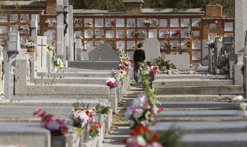 Decenas de tumbas del cementerio de La Almudena, en Madrid, lucen hoy adornadas con flores de cara a la celebración del Día de Difuntos que tiene lugar mañana, día 1 de noviembre. EFE/Víctor Lerena