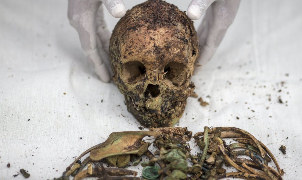 Un voluntario coloca la calavera de un cuerpo desenterrado de una fosa común masiva en el cementerio de Samut Sakhon (Tailandia). /REUTERS