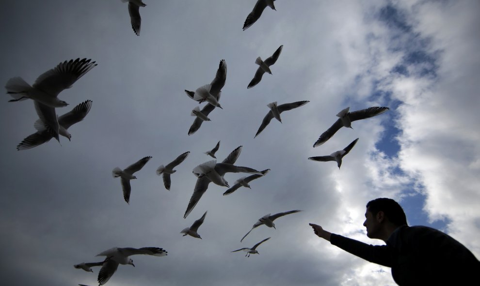 Un hombre alimenta gaviotas en Niza, Francia. REUTERS/Eric Gaillard