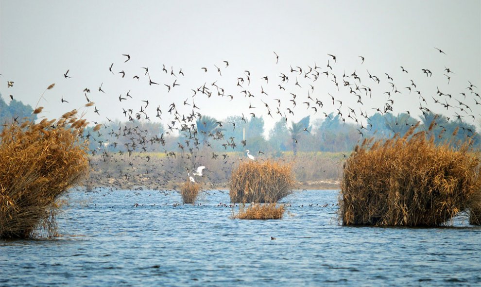 Un humedal de Rangla, en Punjab, Pakistán. HASSAN KHAN SARAAN (Ramsar)