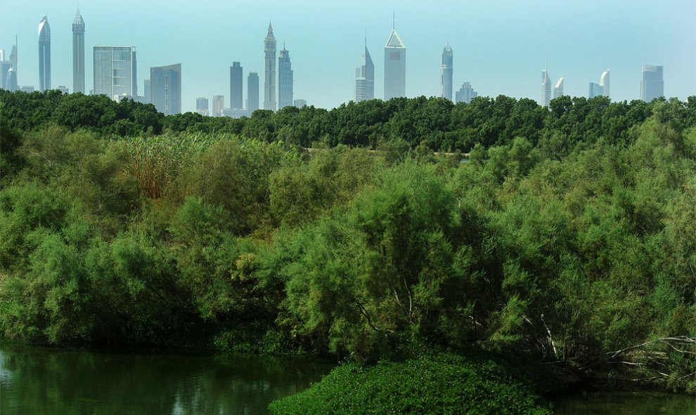 El santuario de vida salvaje Ras Al Khor, en Emiratos Árabes. FRANCESCA NEGRINI (Ramsar)