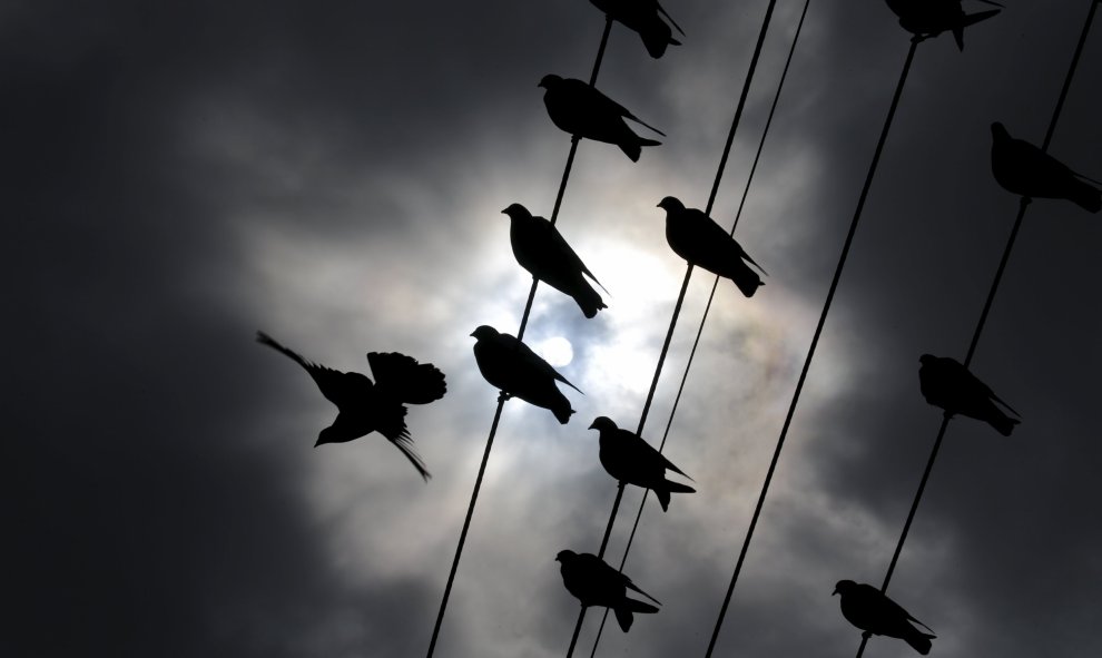 Aves se posan en los cables mientras el sol pasa a través de las nubes que traen las primeras lluvias de otoño a Ciudad del Cabo. REUTERS/Mike Hutchings