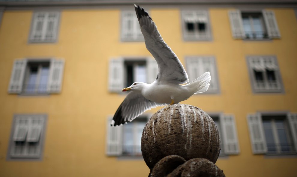 Una gaviota en el casco antiguo de Niza, Francia. REUTERS/Eric Gaillard