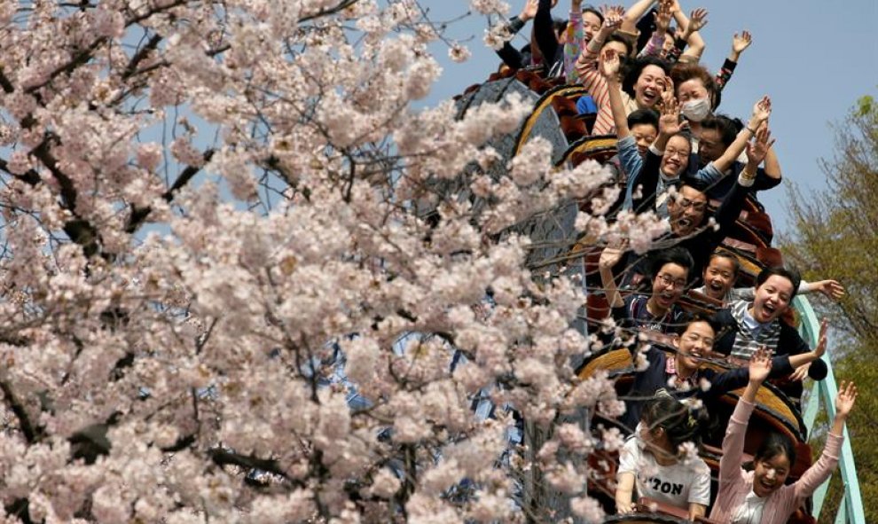 Varias personas montan en una montaña rusa junto a cerezos en flor en el parque de atracciones de Toshimaen en Tokio. EFE/Kimimasa Mayama