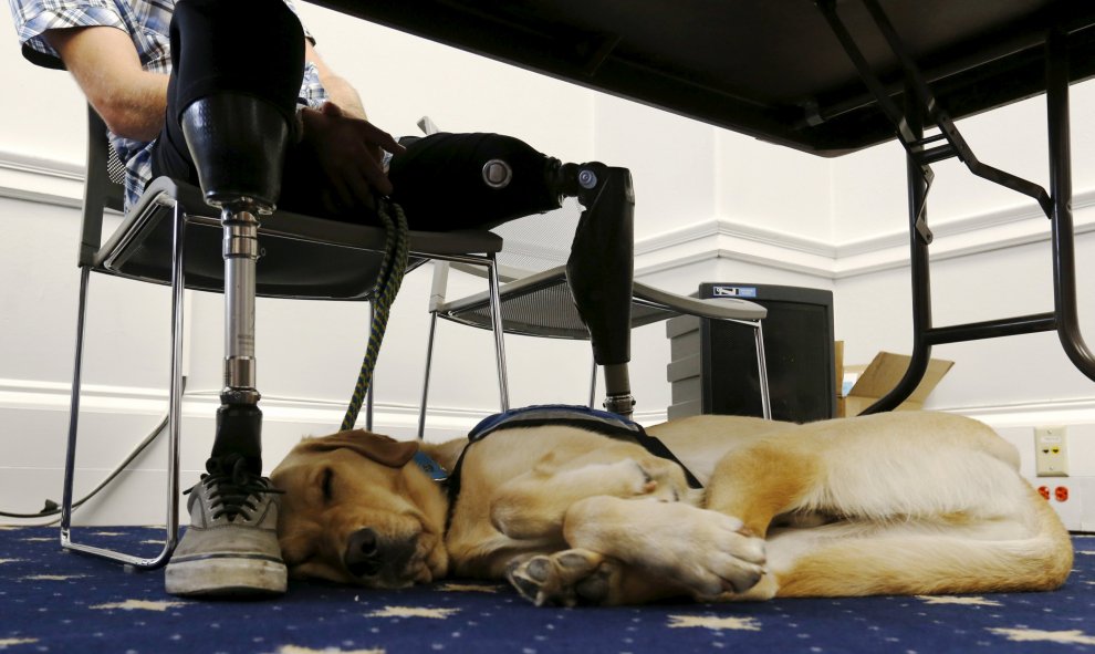 Knoxville, un perro de servisio, duerme sobre los pies del soldado estadounidense retirado Stefan LeRoy. REUTERS/Jonathan Ernst